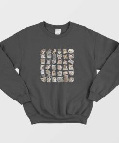 Hilarious Cat Meme Sweatshirt 1 Hilarious Cat Meme Sweatshirt 2