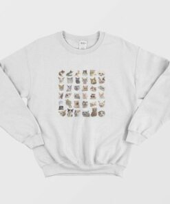 Hilarious Cat Meme Sweatshirt 2 Hilarious Cat Meme Sweatshirt 3