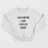 I Am Carrying A Gun I Am Also Insane Sweatshirt