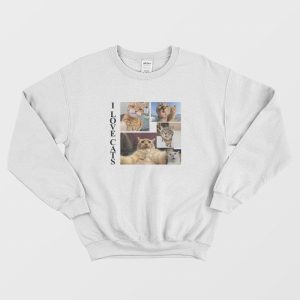 I Love Cats Funny Sweatshirt