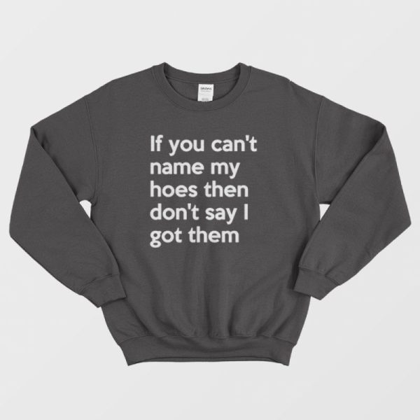 If You Can’t Name My Hoes Sweatshirt