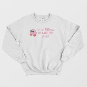 I’m Not Pro Gay I’m Amateur At Best Sweatshirt