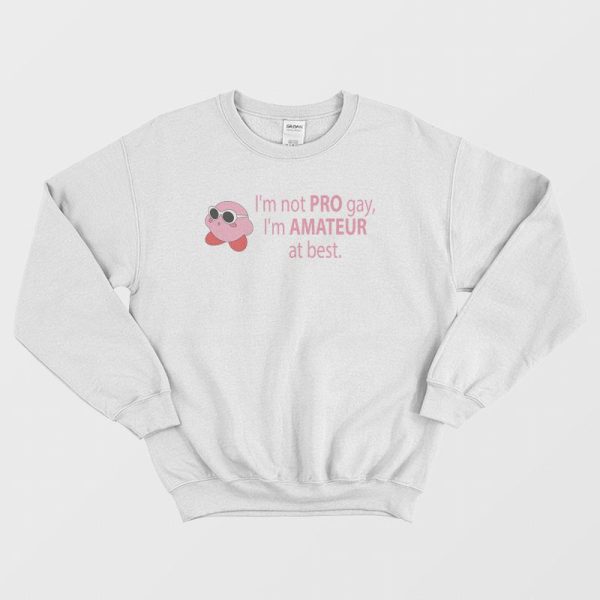 I’m Not Pro Gay I’m Amateur At Best Sweatshirt