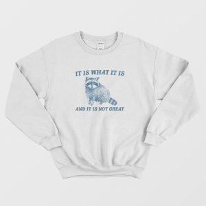 It Is What It Is And It Is Not Great Raccoon Sweatshirt