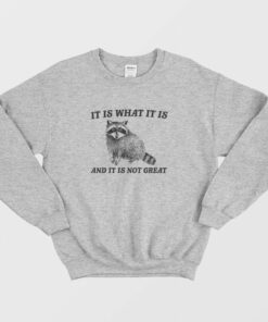 It Is What It Is And It Is Not Great Raccoon Sweatshirt 1 It Is What It Is And It Is Not Great Raccoon Sweatshirt 2