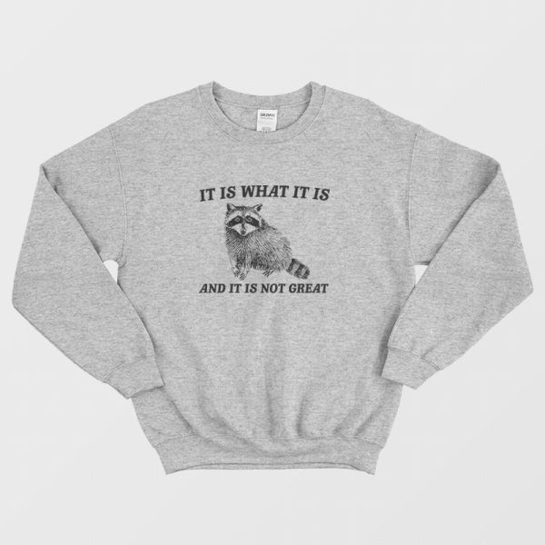 It Is What It Is And It Is Not Great Raccoon Sweatshirt