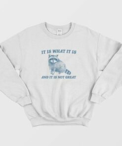 It Is What It Is And It Is Not Great Raccoon Sweatshirt 2 It Is What It Is And It Is Not Great Raccoon Sweatshirt 3