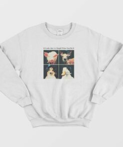 It Looks Just As Stupid When You Do It Sweatshirt 2