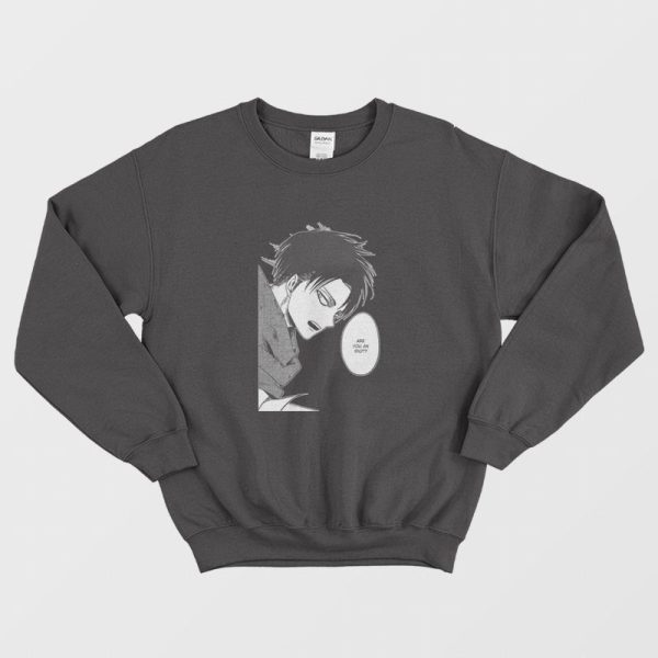 Levi Ackerman Are You An Idiot Sweatshirt