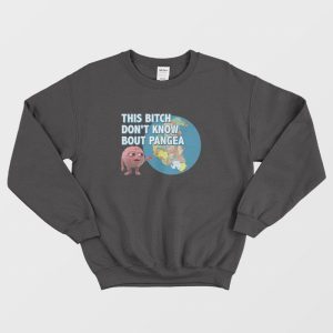 Lil Dicky Brain This Bitch Don’t Know About Pangea Sweatshirt