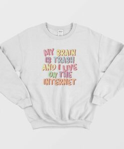 My Brain Is Trash and I Live On The Internet Sweatshirt 1