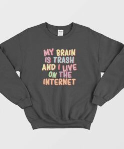 My Brain Is Trash and I Live On The Internet Sweatshirt 2