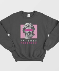 New Aesthetic Vaporwave Intense Feelings Sweatshirt 1