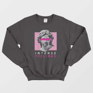 New Aesthetic Vaporwave Intense Feelings Sweatshirt