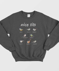 Nice Tits Blue Tit Marsh Tit Crested Tit Long Tailed Tit Great Tit Sweatshirt 1
