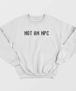Not an Npc Sweatshirt 2
