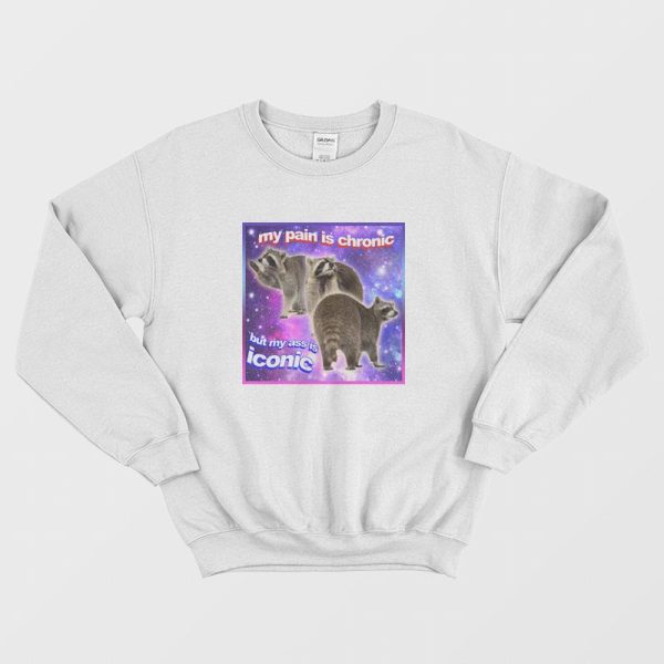 Raccoon My Pain Is Chronic But My Ass Is Iconic Sweatshirt