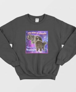 Raccoon My Pain Is Chronic But My Ass Is Iconic Sweatshirt 2