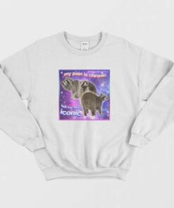 Raccoon My Pain Is Chronic But My Ass Is Iconic Sweatshirt 3