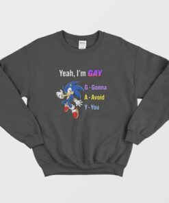 Sonic Yeah Im Gay Gonna Avoid You Sweatshirt 1