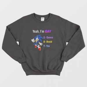 Sonic Yeah Im Gay Gonna Avoid You Sweatshirt 3