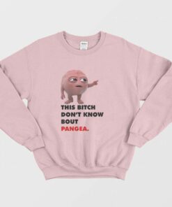This Bitch Dont Know About Pangea Sweatshirt 1