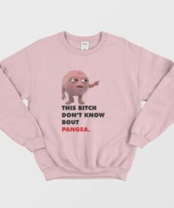 This Bitch Dont Know About Pangea Sweatshirt 3