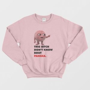 This Bitch Dont Know About Pangea Sweatshirt 3