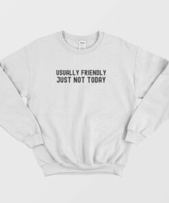 Usually Friendly Just Not Today Sweatshirt 1