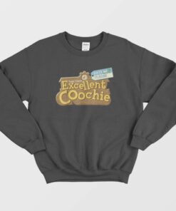 Yeah I Have Excellent Coochie Date Me Please Sweatshirt 1 Yeah I Have Excellent Coochie Date Me Please Sweatshirt 2