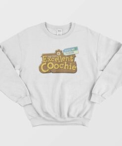 Yeah I Have Excellent Coochie Date Me Please Sweatshirt 2 Yeah I Have Excellent Coochie Date Me Please Sweatshirt 3