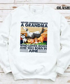 Dog Never Underestimate A Grandma Who Loves Books And Was Born In June Shirt 1