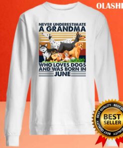 Dog Never Underestimate A Grandma Who Loves Books And Was Born In June Shirt 1 Dog Never Underestimate A Grandma Who Loves Books And Was Born In June Shirt 2