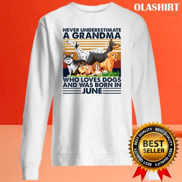 Dog Never Underestimate A Grandma Who Loves Books And Was Born In June Shirt