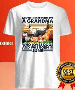 Dog Never Underestimate A Grandma Who Loves Books And Was Born In June Shirt 3 Dog Never Underestimate A Grandma Who Loves Books And Was Born In June Shirt 4