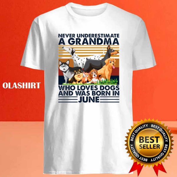 Dog Never Underestimate A Grandma Who Loves Books And Was Born In June Shirt