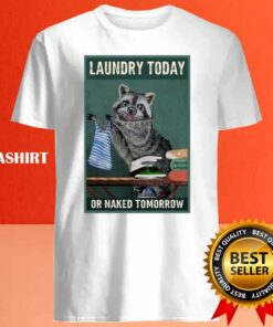 Laundry Today Or Naked Tomorrow Raccoon Lover Shirt 3 Laundry Today Or Naked Tomorrow Raccoon Lover Shirt 4
