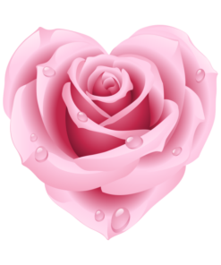 Happy Valentines Day heart rose T shirt 2