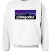 Patagonia Purple&Blue Sweatshirt