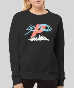 Vintage Style Palace P Hoodie 4