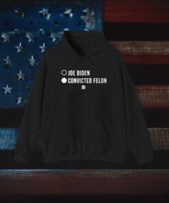 David J Harris Joe Biden Convicted Felon Tee Shirt 2