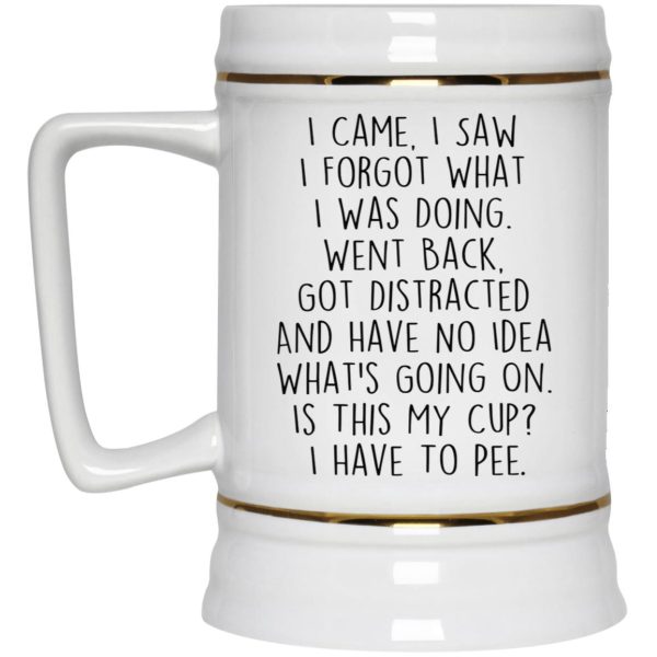 I Came I Saw I Forgot What I Was Doing Mug