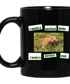 I Want A Perfect Body I Want A Perfect Soul Mugs 1