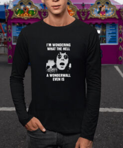 Im Wondering What The Hell A Wonderwall Even Is T Shirt 2