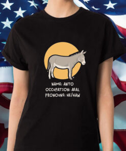 Name Anto B Occupation Asal Pronouns He Haw Donkey T Shirt 1
