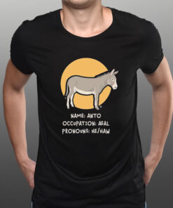 Name Anto B Occupation Asal Pronouns He Haw Donkey T Shirt 2