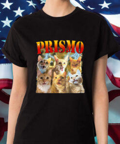 Oneorangebraincell Prismo Cats T Shirt 1