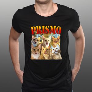 Oneorangebraincell Prismo Cats T-Shirt