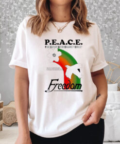 Peace Empathy Action Community Equality Freedom T Shirt 2