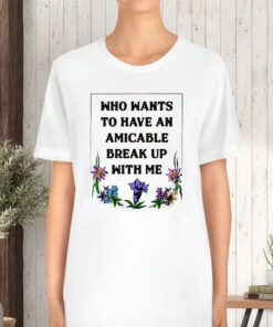 Who Wants To Have An Amicable Break Up With Me T Shirt 2